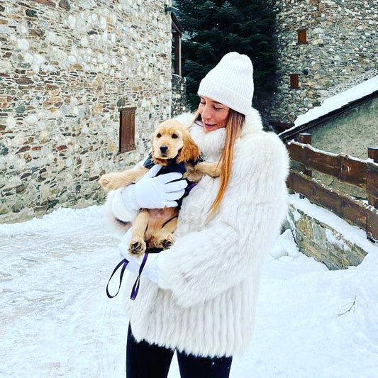 CHIEN AU SKI DANS LES BRAS