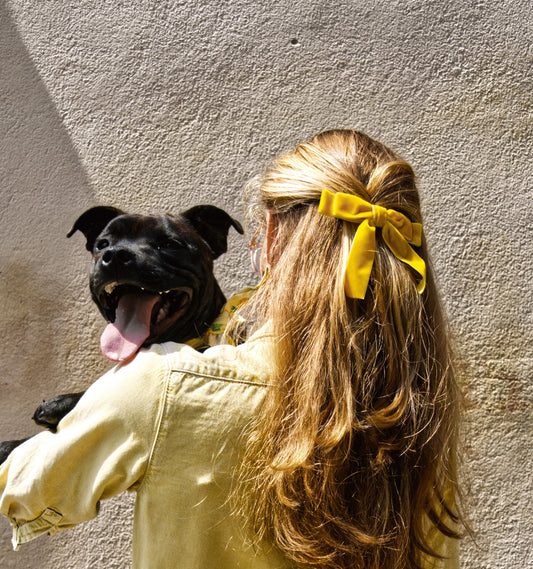 Pourquoi mon chien me lèche tout le temps ?