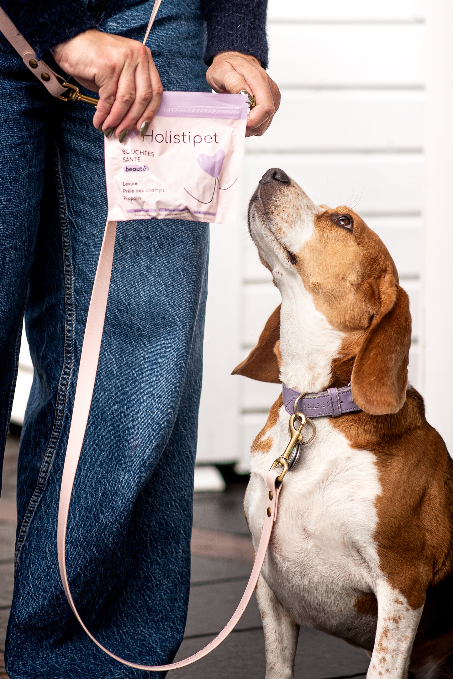 Friandises Peau & Poils