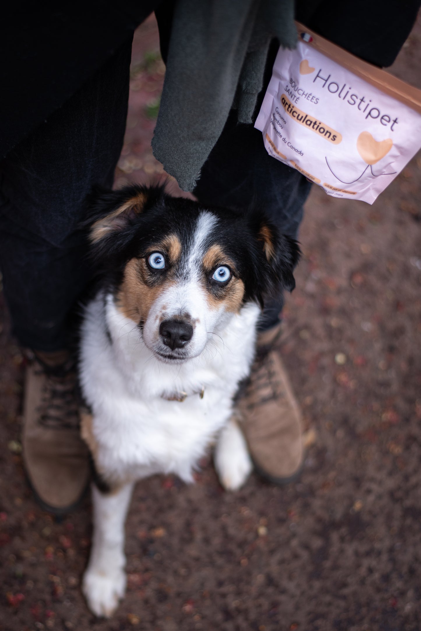 Friandises Articulations