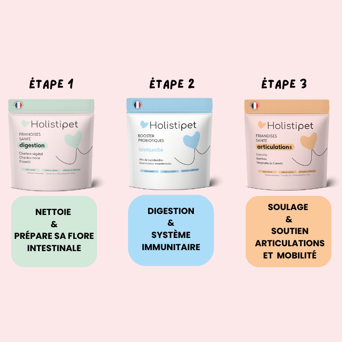 La Box Sénior- spéciale 7 ans et +🧡