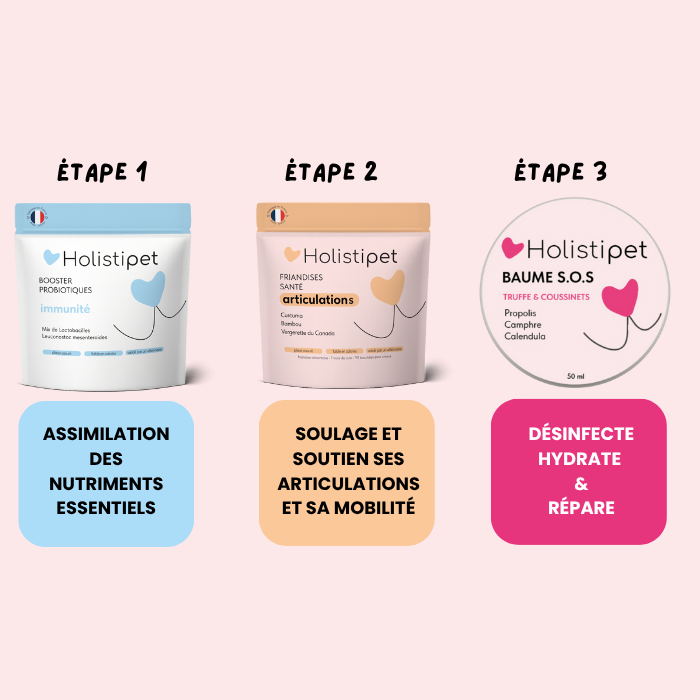 La Box-Des Sportifs đ
