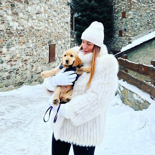 CHIEN AU SKI DANS LES BRAS 