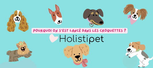 Une croquette pas comme les autres