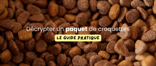 Comment lire l'étiquette d'un paquet de croquettes pour chien