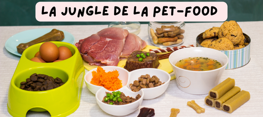 Le bullshit du marketing de la croquette