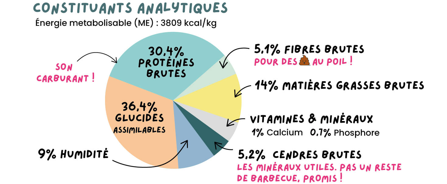Constituants analytiques