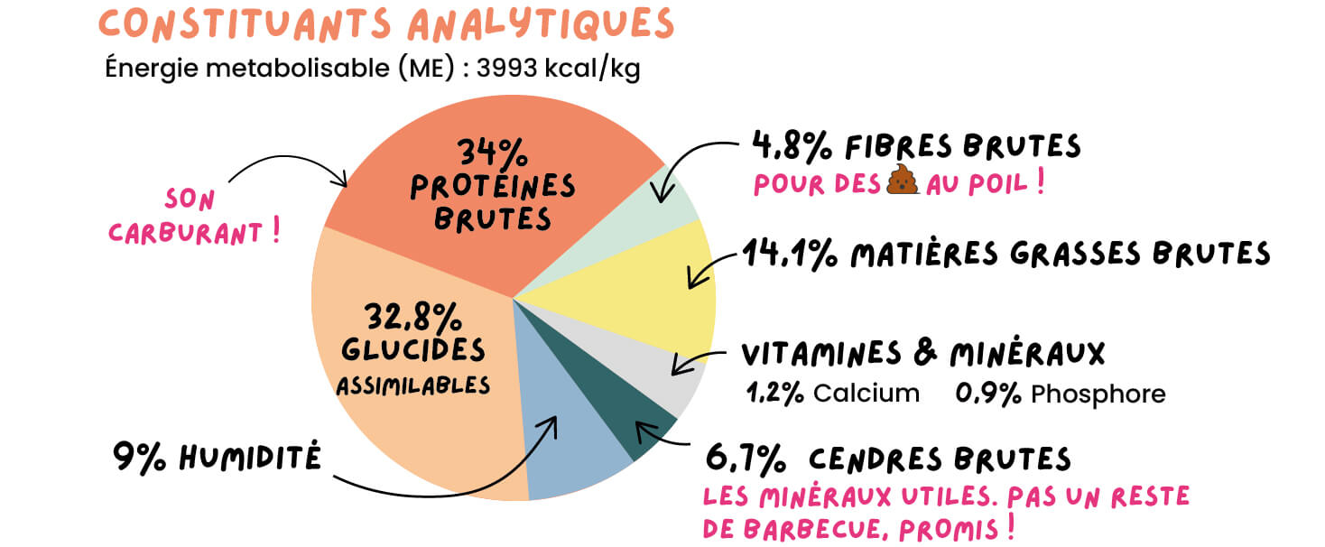 Constituants analytiques