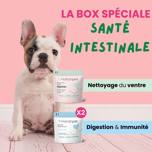 La Box- Santé Intestinale 💚