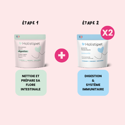 La Box- Santé Intestinale 💚