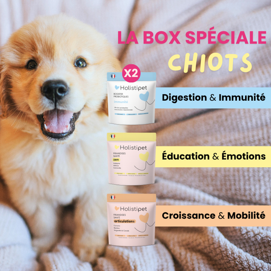 La Box Spéciale Chiots 💛