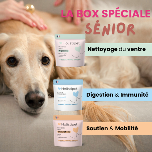 La Box Sénior- spéciale 7 ans et +🧡