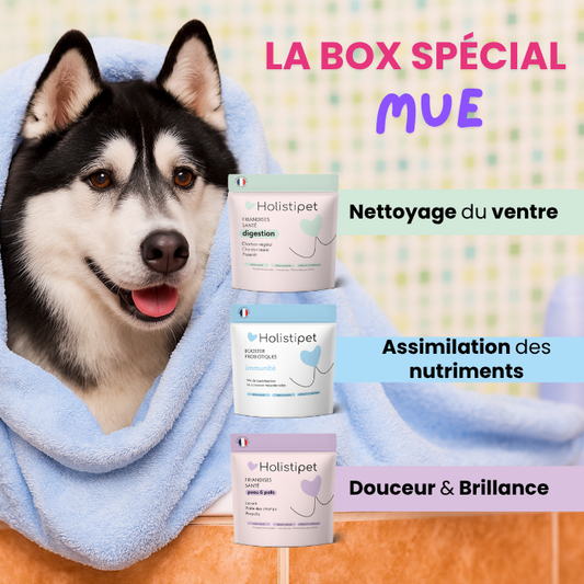 La Box-Spéciale Mue 💕