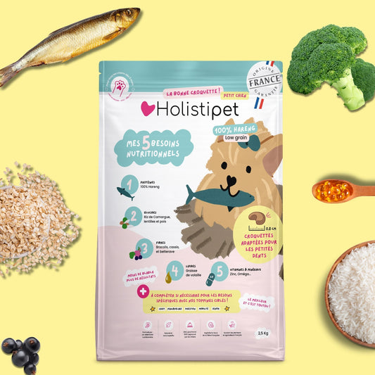 Croquettes 100% hareng | Pour petites dents