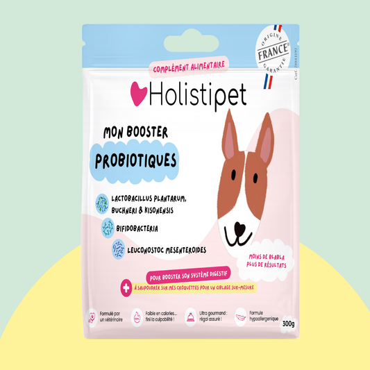 Booster Probiotiques (XXL)